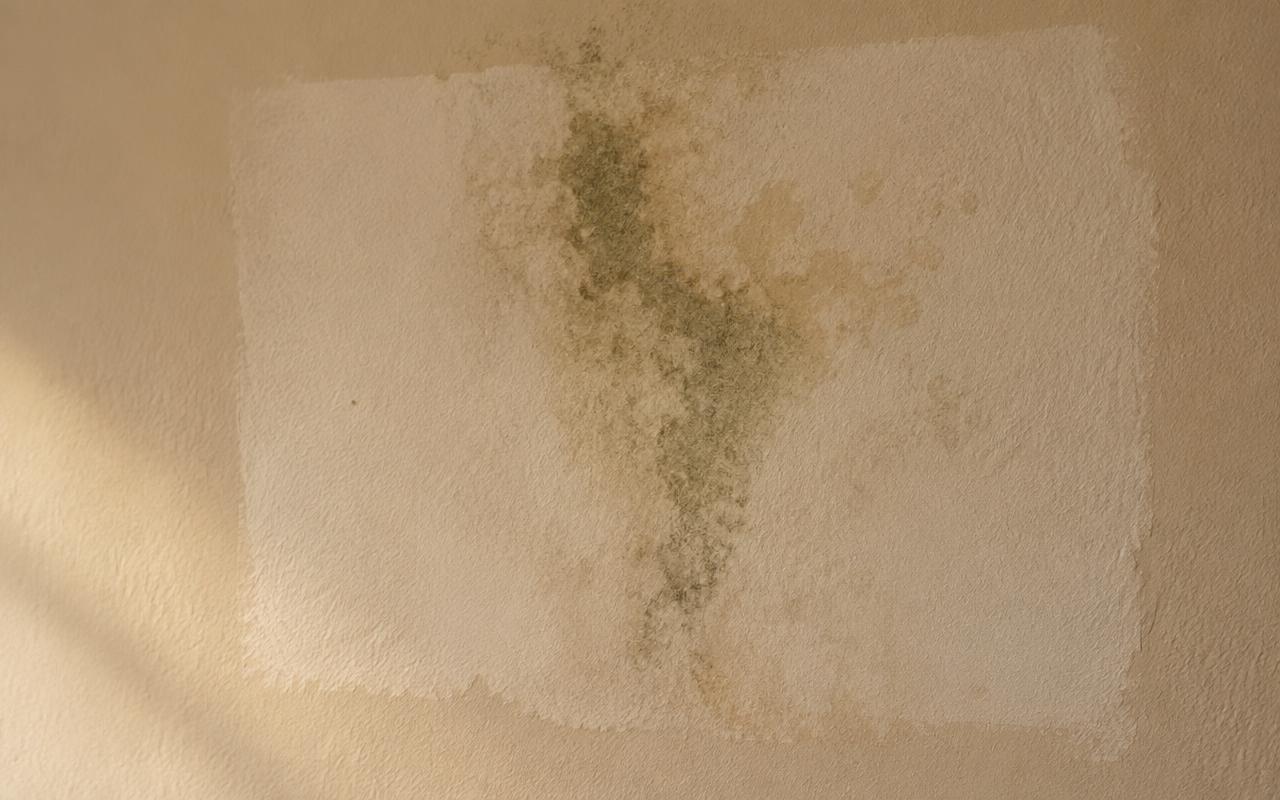 Primer plano de una mancha de humedad que reaparece sobre una pared recién repintada